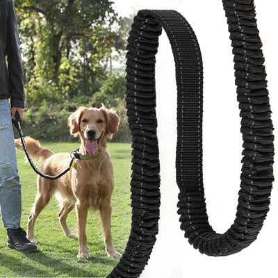Wholesale 25mm Dog Leashes Webbing Custom Durable Soft High Tenacity Pet Strap Band with Reflective Elastic Made Polyester/Nylon