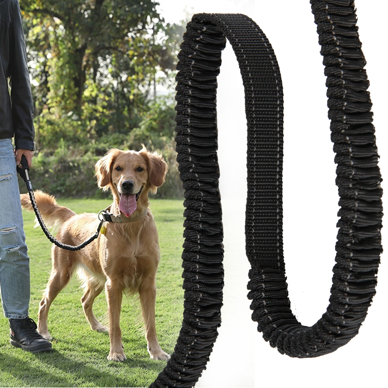 Wholesale 25mm Dog Leashes Webbing Custom Durable Soft High Tenacity Pet Strap Band with Reflective Elastic Made Polyester/Nylon